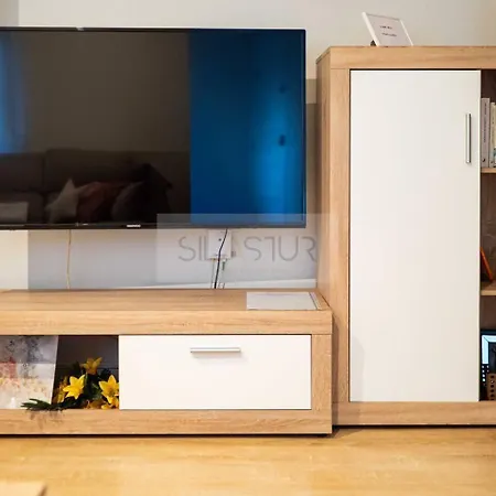 Apartment Cajal By Silastur